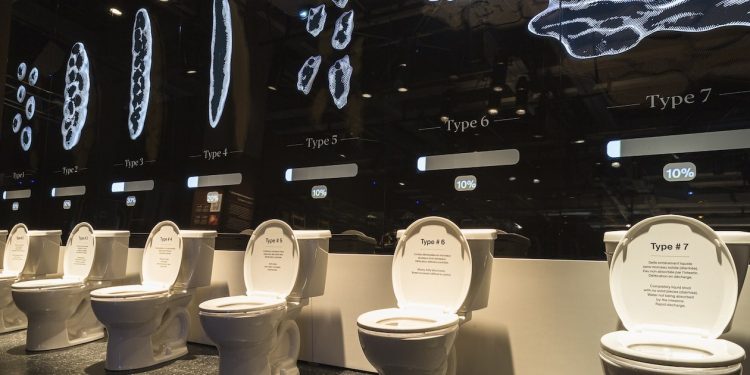 une rangée de WC sur pied à l'exposition québécoise Ô merde