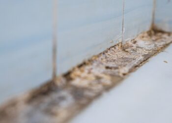 Gros plan sur un décollement de carrelage dans la douche