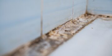 Gros plan sur un décollement de carrelage dans la douche