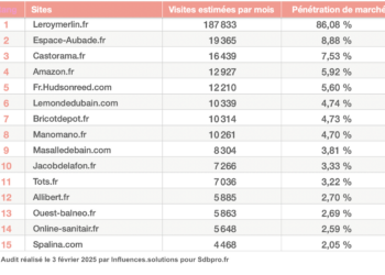 Tableau présentant les 15 premiers sites émegeant sur Google à concernant la baignoire